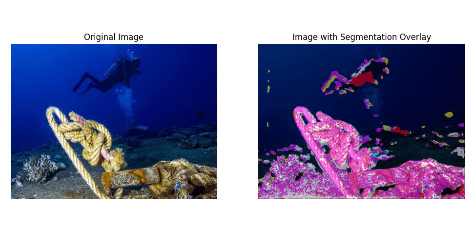 Semantic Segmentation of Underwater Imagery